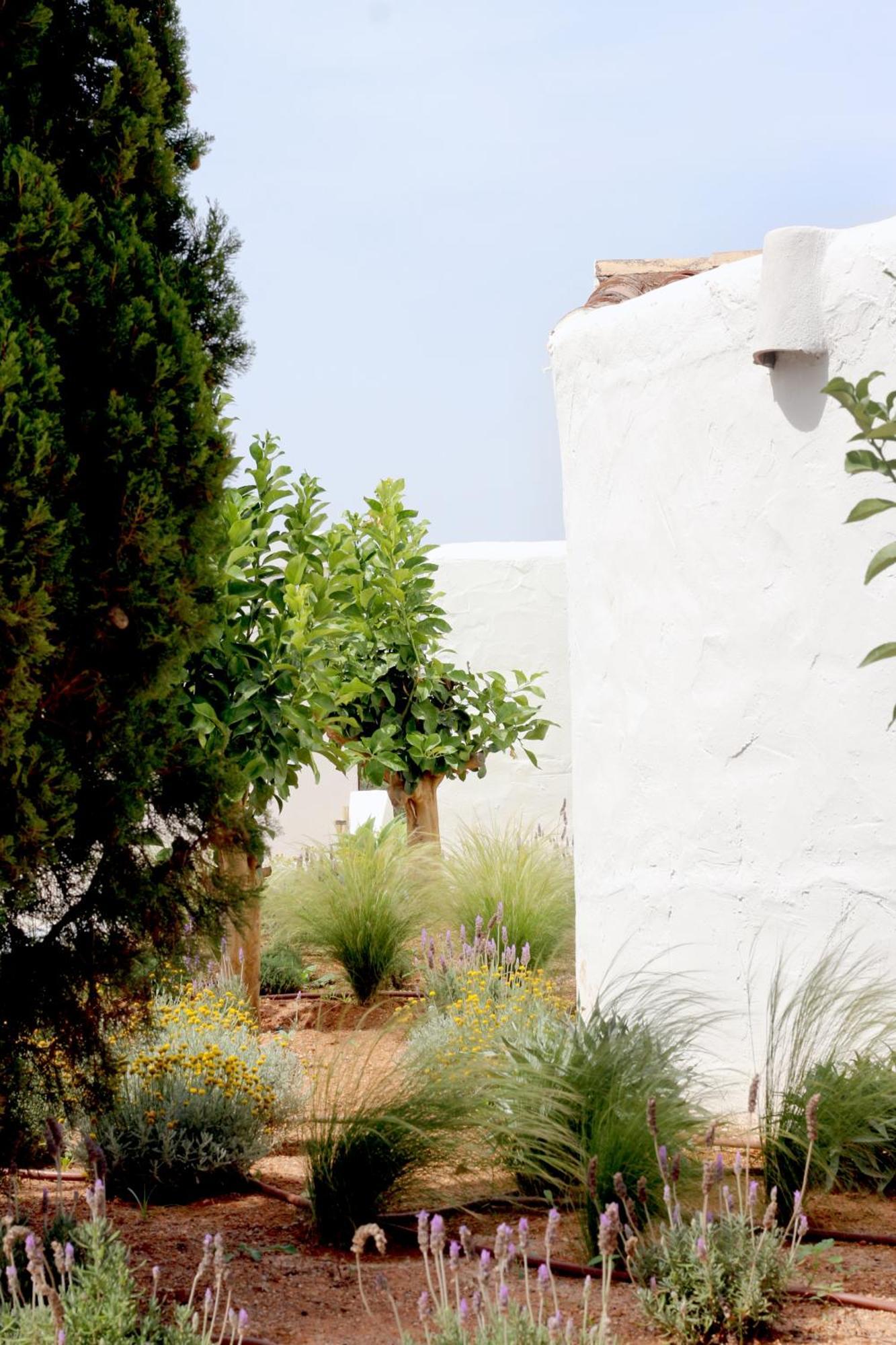Aguamadera Villa Santa Eularia des Riu Dış mekan fotoğraf